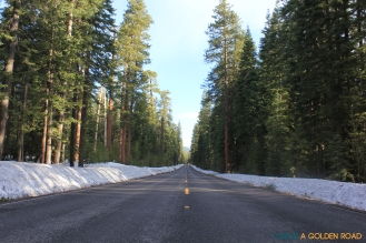 The Road to Crater Lake