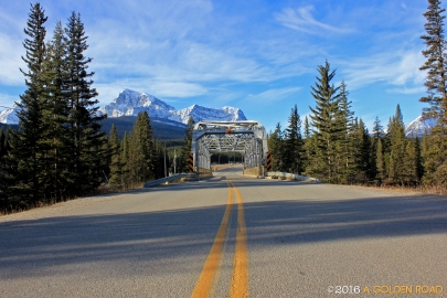 Bow Valley Highway